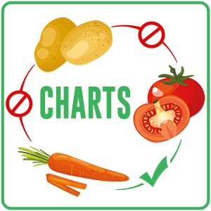 companion planting for beginners