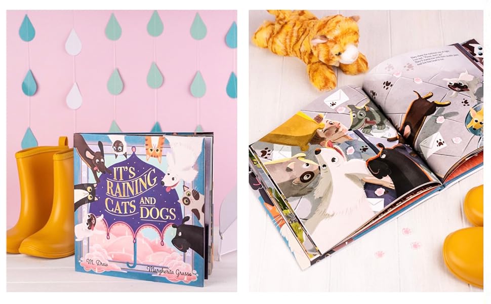 Raining Cats and Dogs 未開封BOX Raining Cats and Dogs 未開封BOX