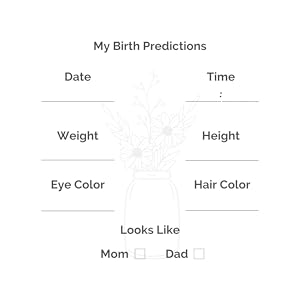 Baby-Q Baby Shower Guest Book Birth Predictions Date Time Hair Color Eye Color Weight Height