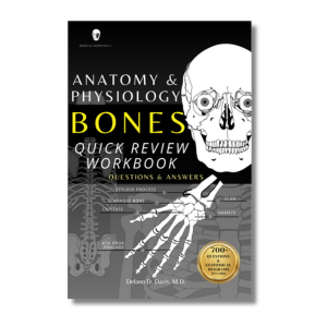 Anatomy and physiology workbook