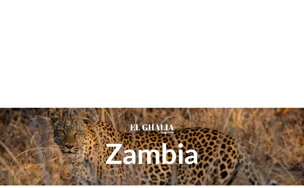 The Epic Road Guide to Zambia complete travel guide for