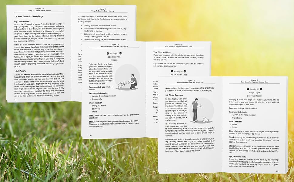 Brain Games for Puppies, Brain Games for Dogs, Dog Games, Puppy Training, Puppy Book, Dog Book