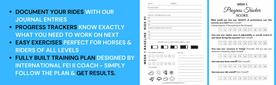 show jumping exercise book, jumping drills for horses, pole exercises for horses, Horse jumping