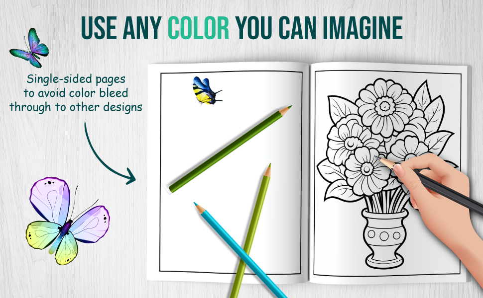 Bold and Easy Large Print Coloring Book for Adult 9798878574464 Hayes, Lisa Books