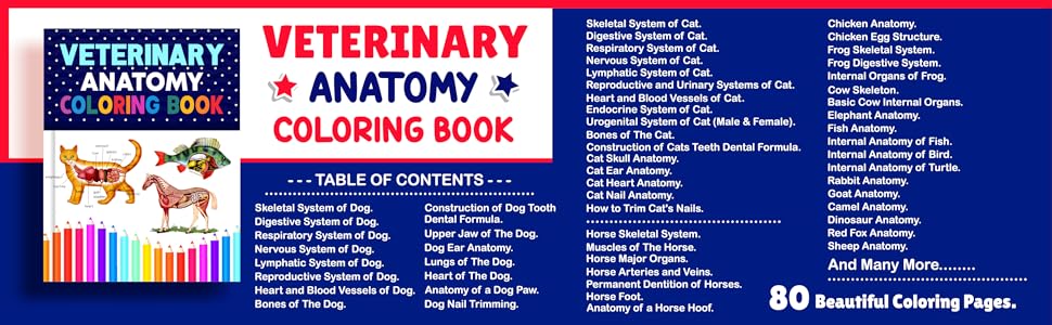 Veterinary Anatomy Coloring Book, Animal Anatomy Coloring Book, Dog Cat Horse Anatomy Coloring Book