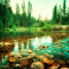 Yosemite National Park