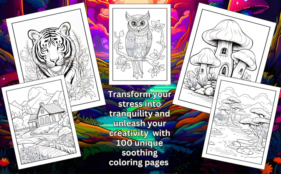 Amazon.com: Stress Relief Adult Coloring Book for Calmness and