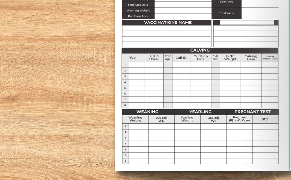 Cattle Log Book / Cattle Record Keeping 188 Pages 8" x 10" Farm, Beef