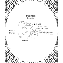 Dog Anatomy Coloring Book