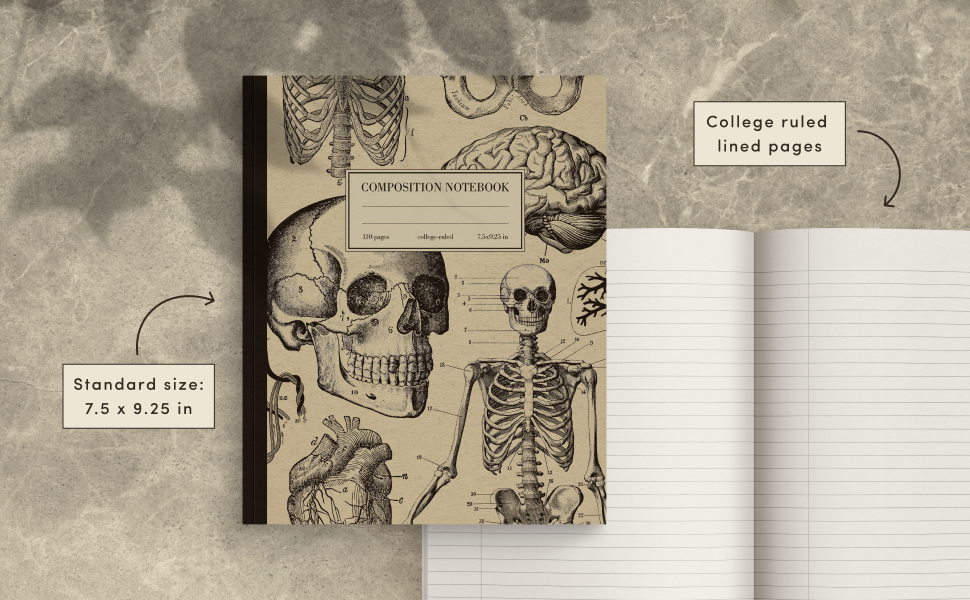 College ruled wide lined notebook is a perfect back to school or college stationery. Size 7.5 x 9.25