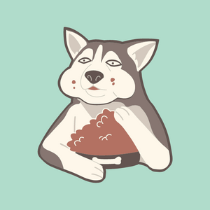 Healthy Dog Food Recipes: 101 Simple & Delicious Homemade Dog Food Recipes 6 recipe book for dogs