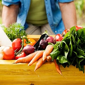 harvested vegetables