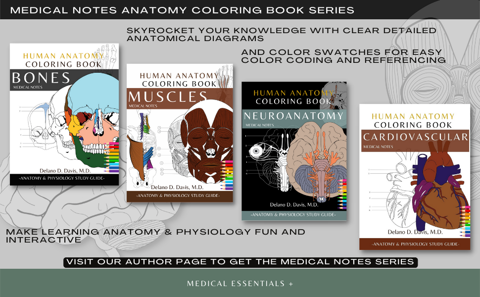 human anatomy coloring book series
