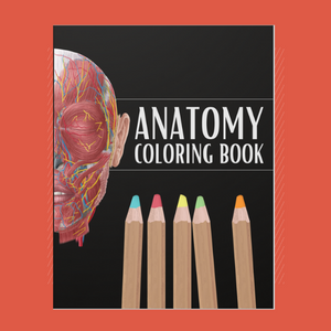 Anatomy coloring book cover banner