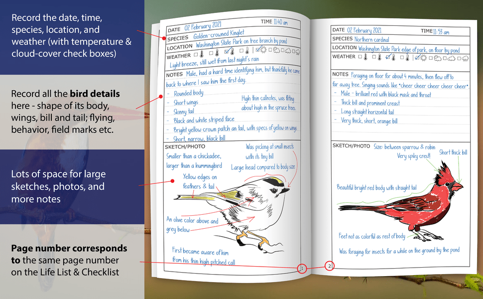 Birder’s Life List with Journal & Checklist An Ideal Bird Watching