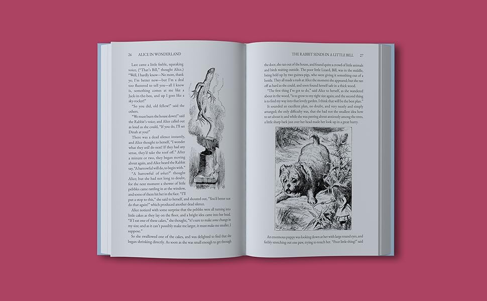 Alice in wonderland book