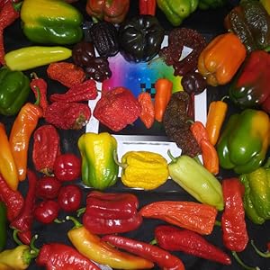 Landrace sweet peppers