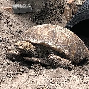 Small manufacture image 5