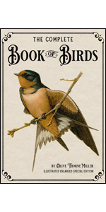 英語版　1976年発行　A closer Look at BIRDS 英語版 1976年発行 A closer Look at BIRDS