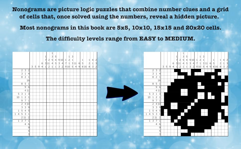 PIX MIX for Beginners Nonogram Logic Puzzle Book for Teens and Adults