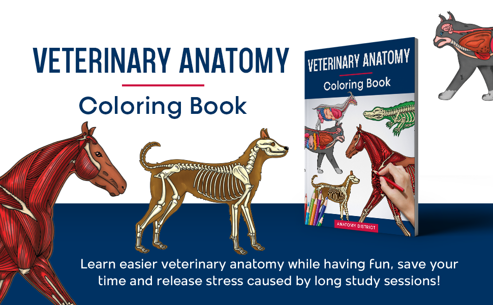 coloring book vet tech