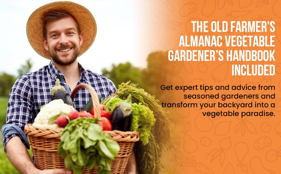 Mua S ch 9 Books In 1 Unlock The Secrets To Discover Companion mua-s-ch-9-books-in-1-unlock-the-secrets-to-discover-companion