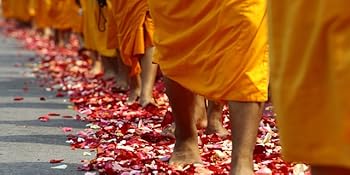 Der Millionär und der Mönch - Eine wahre Geschichte über den Sinn des Lebens