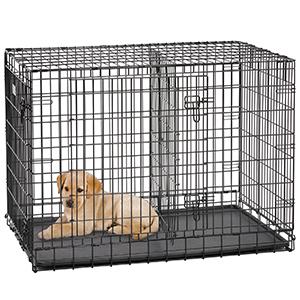 Divider Panel with Puppy
