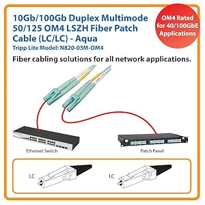 TKM　オーダー Amazon.com: Tripp Lite 10Gb/100Gb Duplex Multimode 50/125