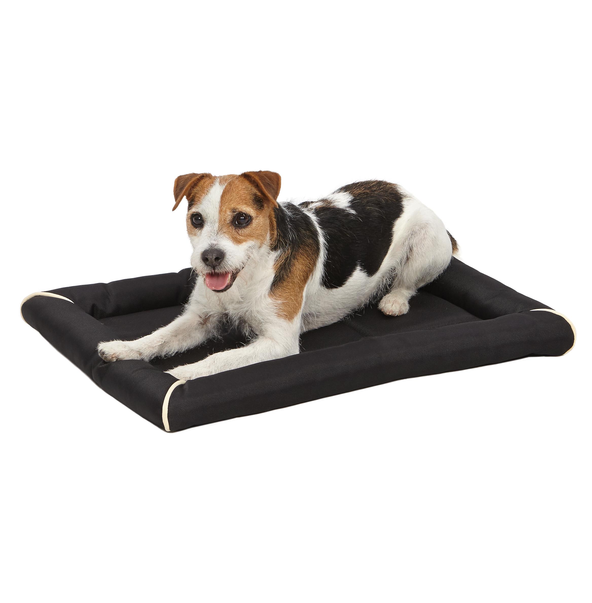 Midwest Homes for Pets Maxx Bed, 42 by 29Inch, Black Amazon.ca Pet