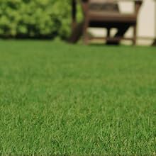 Amazon.com : Ortho Bug B Gon Insect Killer for Lawns and ...