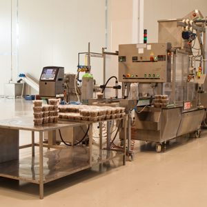 Small manufacture image 2