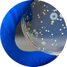 Small manufacture image 6