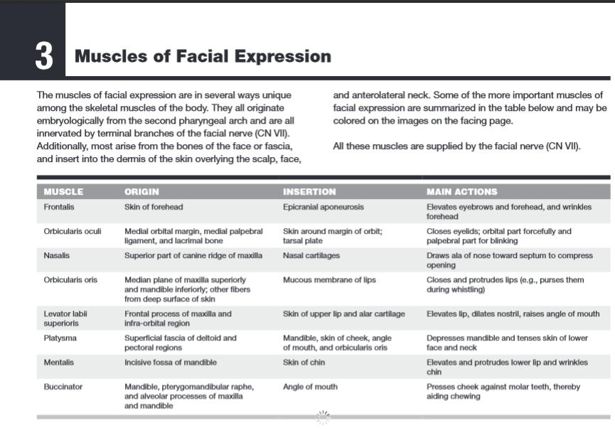 Netter's Anatomy Coloring Book: with Student Consult Access (Netter