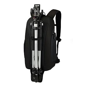 Buy Lowepro Flipside 300 Backpack (Black) Online at Low Prices in