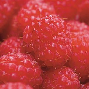 Small manufacture image 11