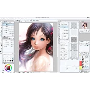 CLIP STUDIO PAINT PRO : Amazon.com.mx: Software