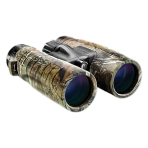 bushnell trophy binoculars 10x42