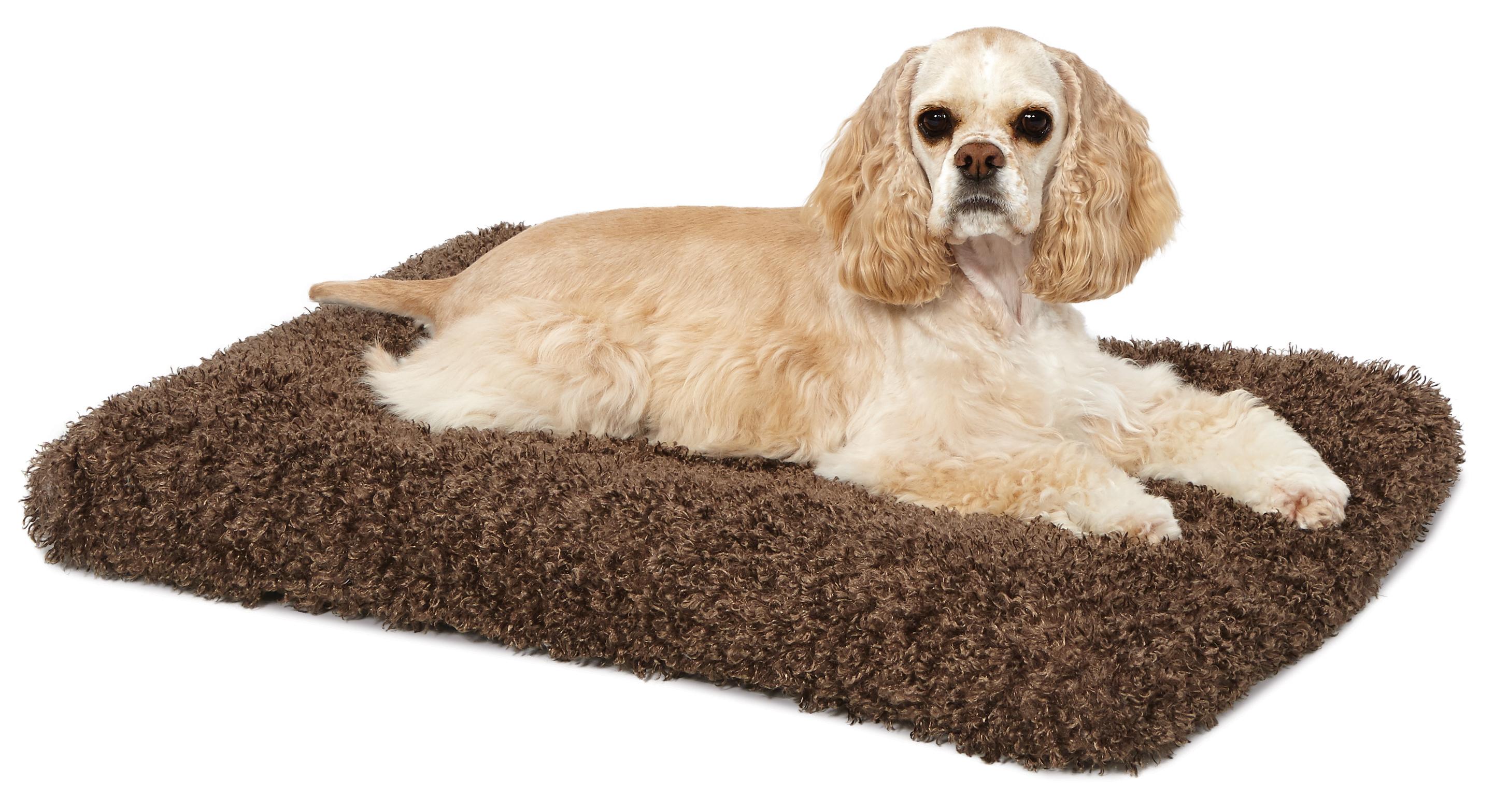 MidWest Homes for Pets CoCo Chic Deluxe Pet Bed 29" x 21" Amazon.ca