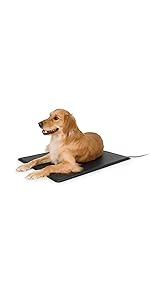 Amazon Com K H Pet Products Lectro Soft Igloo Style Dog Bed Large 17 5 Inch X 30 Inch 60 Watts Pet Beds Pet Supplies