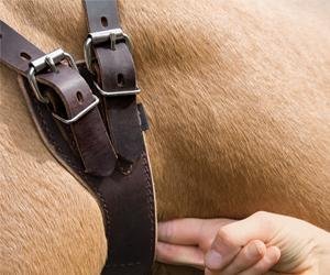 Small manufacture image 5