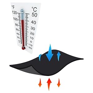 oceans; marine life; ferediving training; freediving; free dive; free diving; cressisub