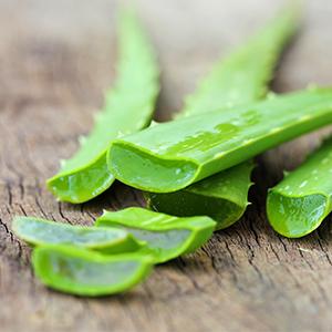 Small manufacture image 10