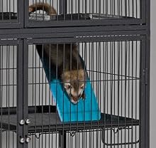 希少　フェレット　ネイション　ケージ　ferret nation 輸入 Amazon | Midwest Homes for Pets Ferret Nation シングル