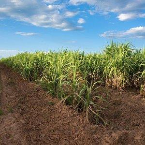 Small manufacture image 11