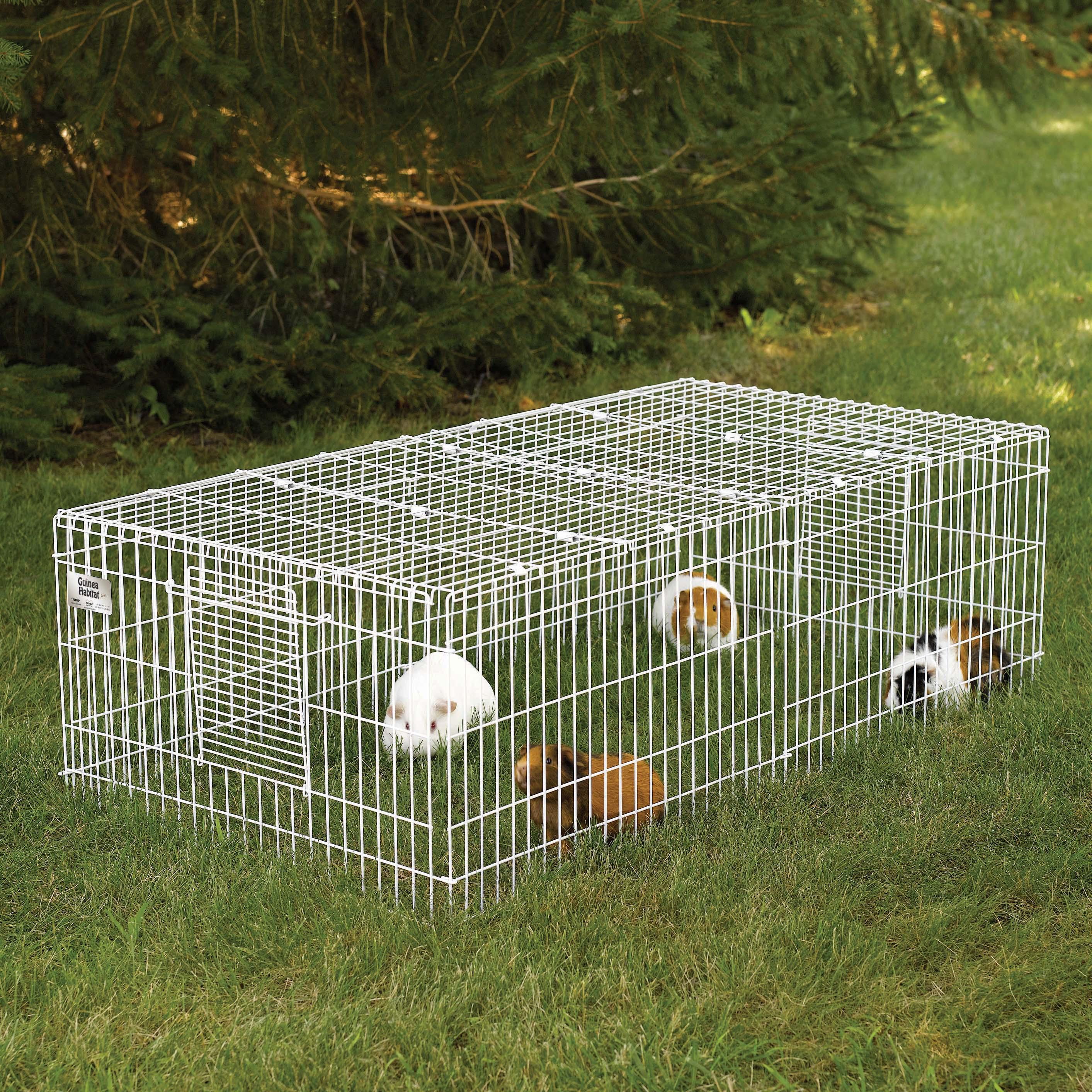 Guinea Habitat Guinea Pig Cage by MidWest, 47L x 24W x 14H Inches Pet Care