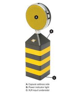NEAT King Bee Cardioid Solid State Condenser Microphone with