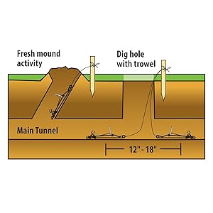 Sweeney's Gopher Trap - 2 Pack Diagram