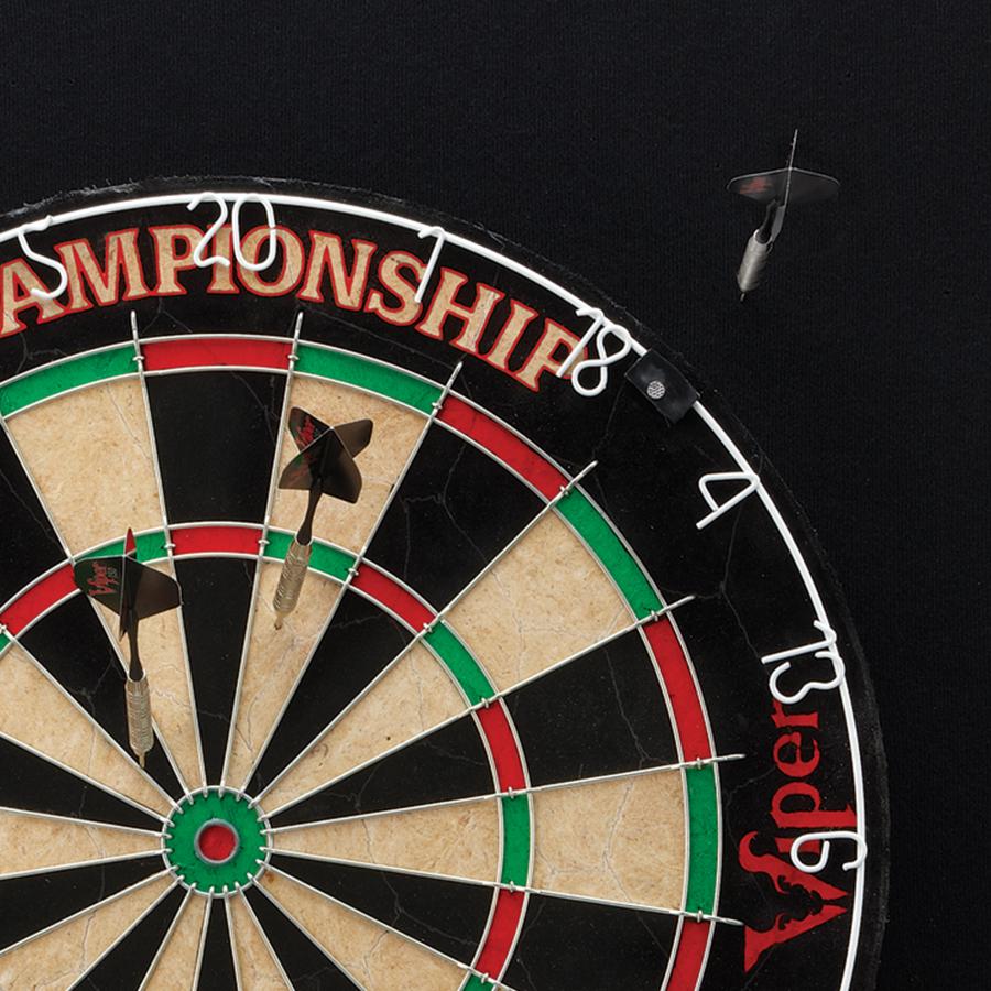 Viper EVA VFoam Dartboard Surround Wall Protector