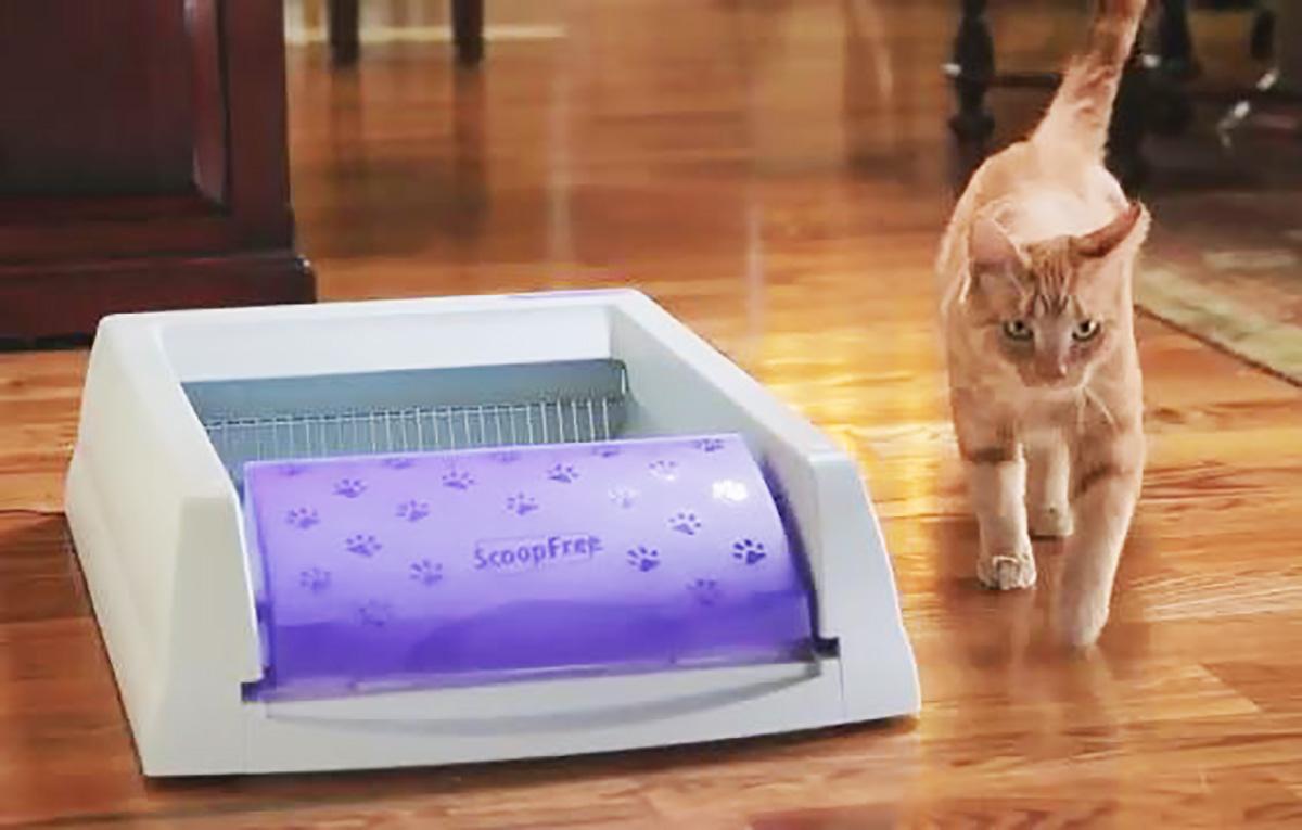 ScoopFree Self Cleaning Litter Box Amazon.ca Pet Supplies